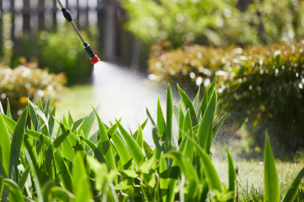 24/7 Emergency Wasp Removal experts in Le Roy, IL