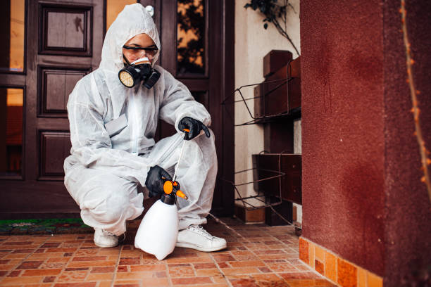 Reliable Wasp Removal contractor in Le Roy, IL by Show Me Pest Control