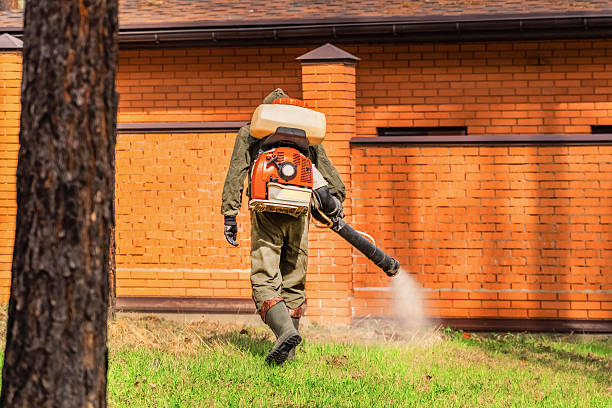 Top rated local Wasp Removal specialists in Le Roy, IL